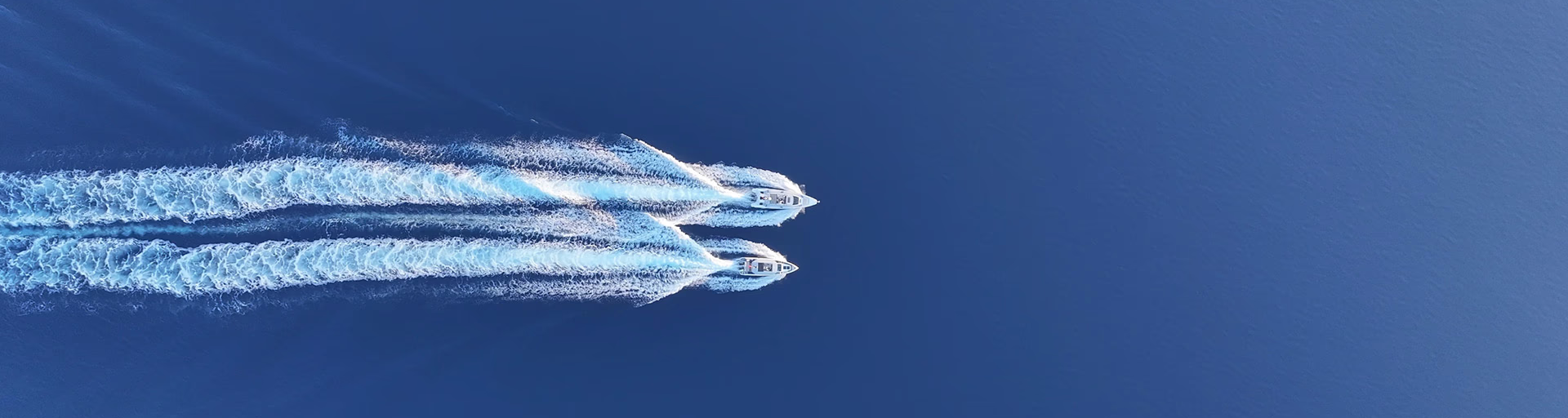 Bluefin Turnuva Logo