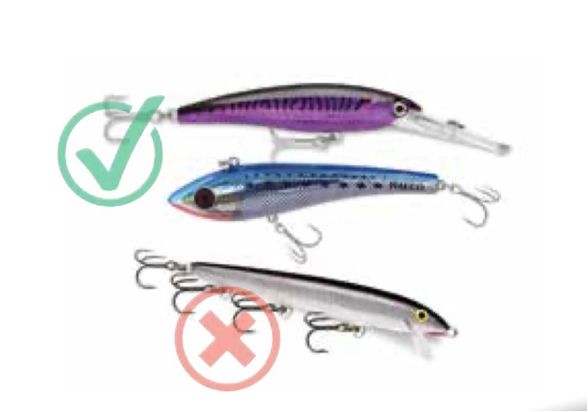 Bluefin Turnuva Logo