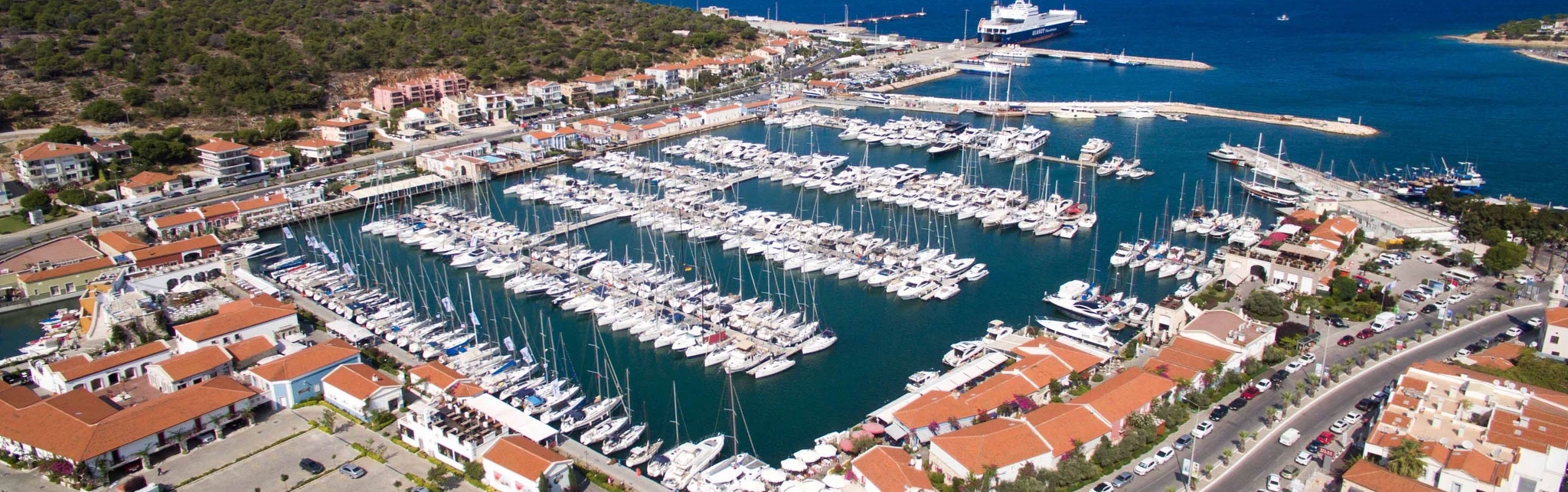 Bluefin Turnuva Logo